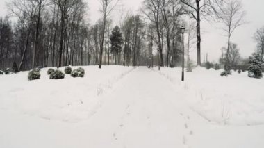 Yumuşak geçiş kameranın banklar ve urns ile Park sokak boyunca. Kış bulutlu karlı gün. Kameranın önüne düşen kar taneleri.