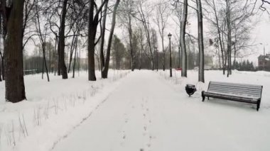 Yumuşak geçiş kameranın banklar ve urns ile Park sokak boyunca. Kış bulutlu karlı gün. Kameranın önüne düşen kar taneleri.