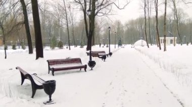 Yumuşak geçiş kameranın banklar ve urns ile Park sokak boyunca. Kış bulutlu karlı gün. Kameranın önüne düşen kar taneleri.