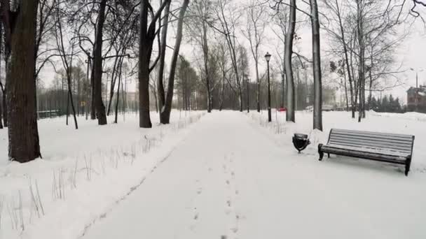 Hladký průjezd fotoaparát uličkou Park s lavičkami a urny. Zimní oblačno sněžení. Sněhové vločky padající před kamerou. — Stock video