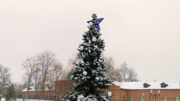 A câmera se afasta da árvore de Natal e o abeto se torna totalmente visível. Inverno nevado dia nevado . — Vídeo de Stock