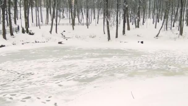 Panorama över dammen och en röd förbudsskylt. Tunn is är farligt, kan du falla genom isen. — Stockvideo