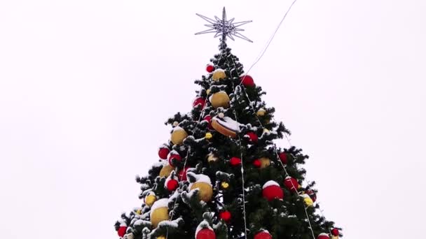 Kerstboom Soepele Panning Van Camera Langs Hele Hoogte Van Boom — Stockvideo