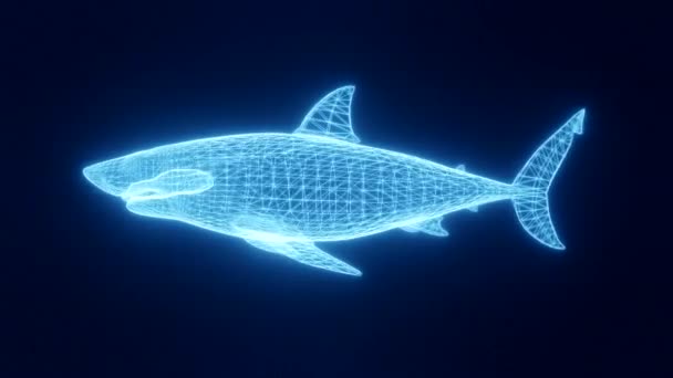 Animasi hiu dalam bentuk garis-garis neon bercahaya dari grid tiga dimensi. Putar, putar, dan perbesar objek di ruang angkasa. Rendering 3d. — Stok Video