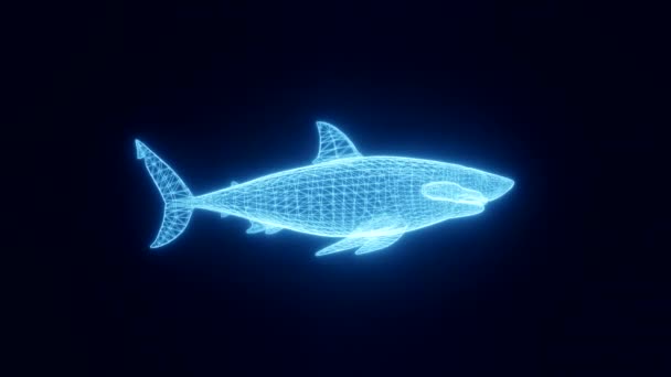 การเคลื่อนไหวของฉลามในรูปแบบของลายเส้นนีออนเรืองแสงจากตารางสามมิติ หมุน กระทะ และซูมวัตถุในอวกาศ การแสดงผล 3D . — วีดีโอสต็อก