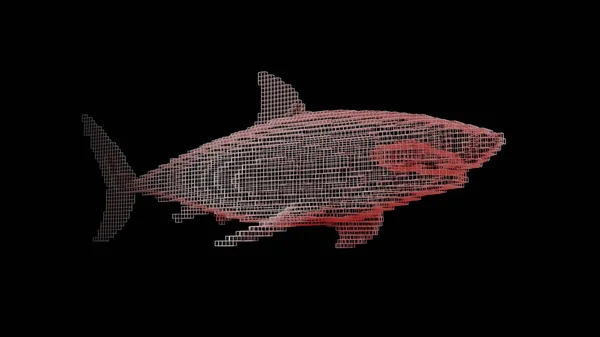 Een haai gemaakt van vele blokjes op een zwarte uniforme achtergrond. Constructeur van kubieke elementen. Kunst van de wilde dierenwereld in moderne prestaties. 3d destructie. — Stockfoto