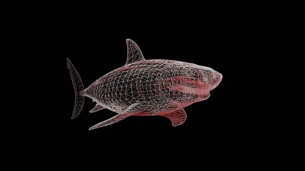 Tiburón Sobre Fondo Negro Uniforme Constructor Elementos Poligonales Arte Del — Foto de Stock