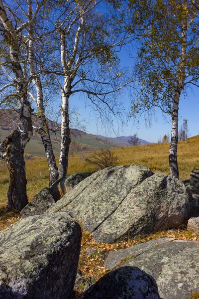 Υπέροχο Ορεινό Τοπίο Στα Βουνά Altai Φθινόπωρο — Φωτογραφία Αρχείου