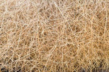 Güneşli da renkli yığın ot kuru ot