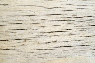 Güneşli da ışık eski kırık pano portre