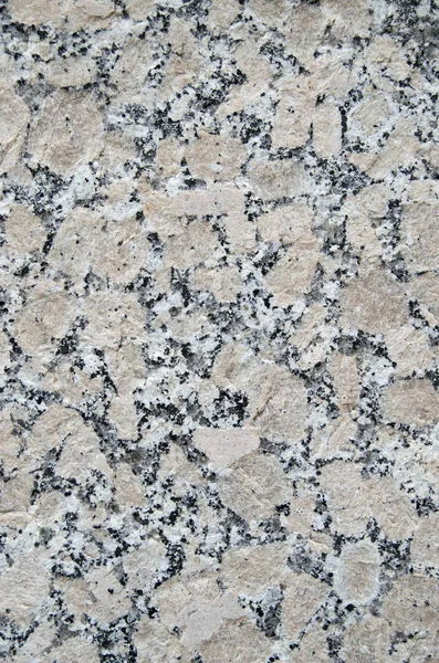 Polished colorful granite slab closeup