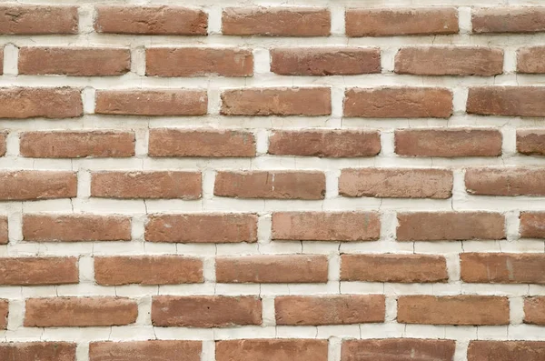 Old  bricks wall closeup in sunny da