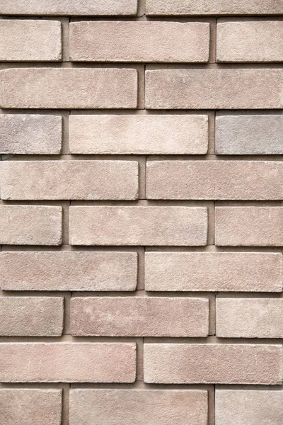 New bricks wall closeup in sunny da