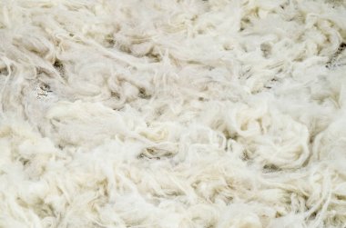Güneşli da yeni yün closeup yığını