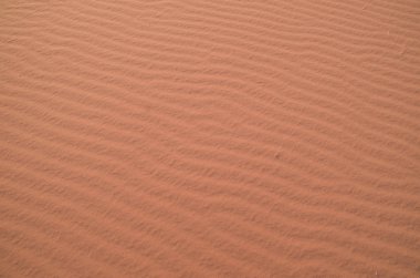 Çölde Wadi Rum, Jorda kırmızı kum portre dalgalarda