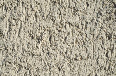 Yeni Ekru çimento kabartma sıva closeu