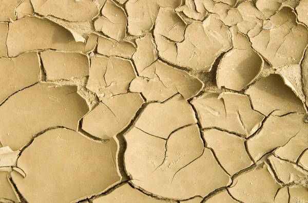 Cracked yellow dry mud in summer closeu