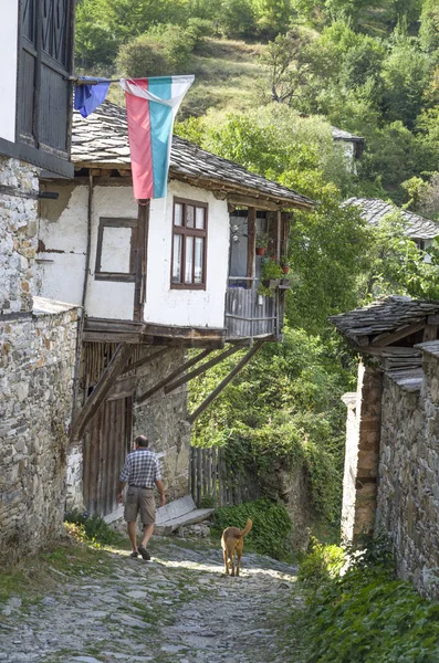 Alte Häuser Auf Gepflasterter Straße Dorf Dolen Bulgarien — Stockfoto