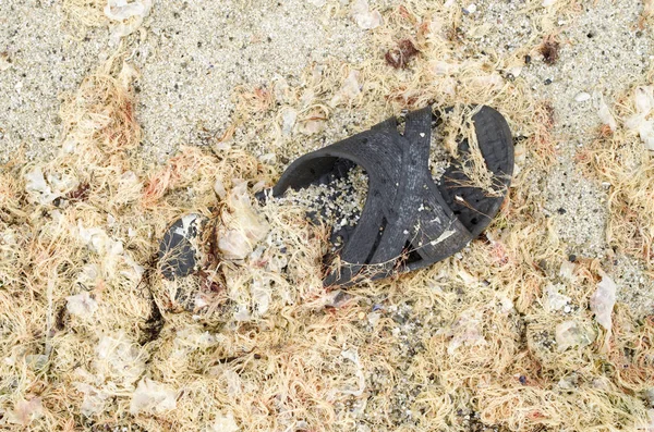 Old flip-flop on beach covered with sand and seaweed — Stock Photo, Image