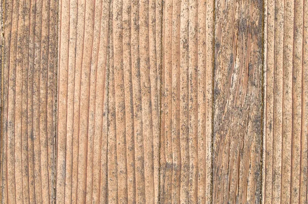 Ny lakeret træ væg closeup - Stock-foto