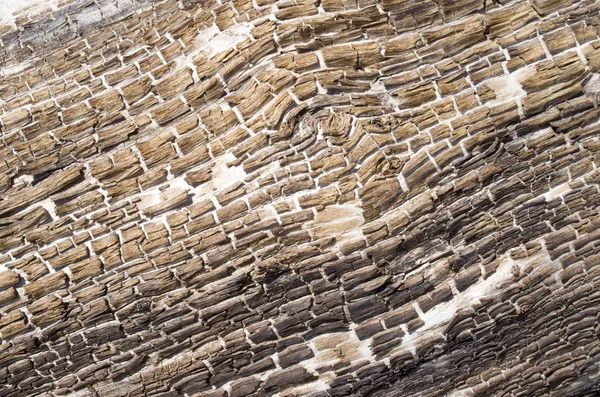 Casca de madeira dividida em pequenos pedaços de closeup — Fotografia de Stock