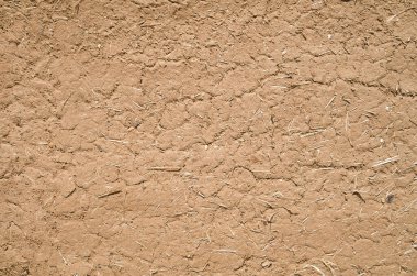 Duvardaki eski kil kahverengi alçı.