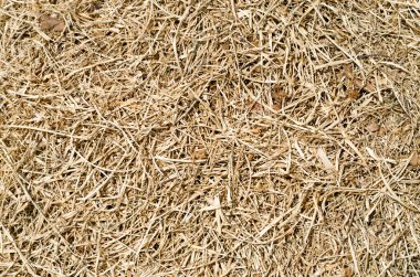 Eski biçilmiş sarı saman kapanışı