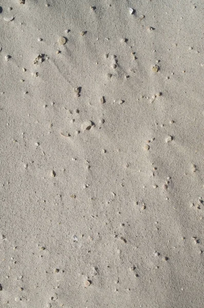 Fine Gray Sand Closeup Sunny — Stock Photo, Image
