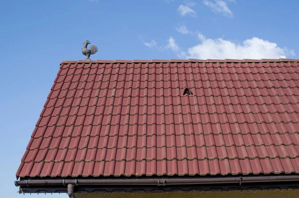 新しいですタイル張りの屋根とともにルーバー屋根ベントとコックでザブルースク — ストック写真