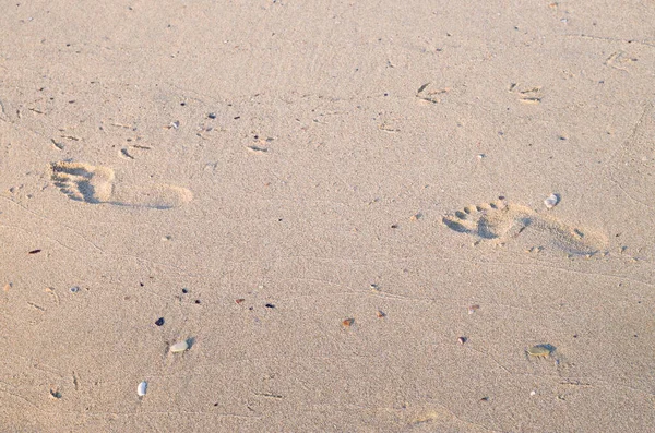 Impronte Nel Mare Bagnato Sabbia Closeu — Foto Stock