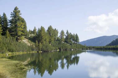 Çam ve cücelerle çevrili dağ gölü ve sudaki yansımaları.