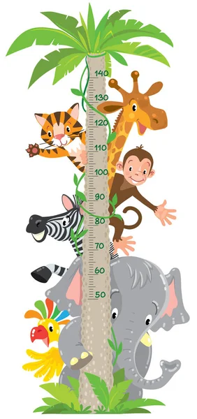 Giraff, apa, tiger. Mätaren vägg eller höjd diagram — Stock vektor