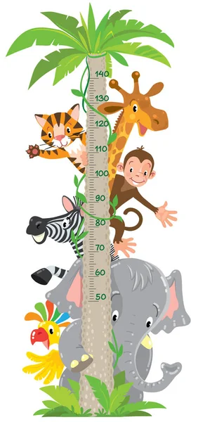 Girafa, macaco, tigre. Gráfico de parede ou altura do medidor — Vetor de Stock
