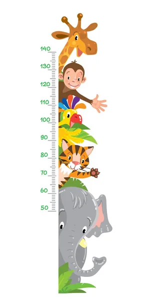 Girafa, macaco, tigre. Gráfico de parede ou altura do medidor — Vetor de Stock