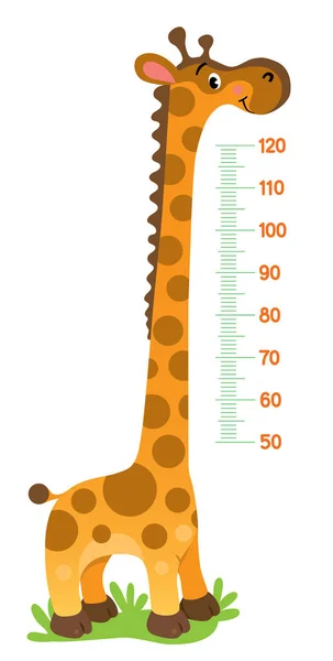Cheerful Funny Giraffe Long Neck Height Meter Meterwall Wall Sticker — Stock Vector