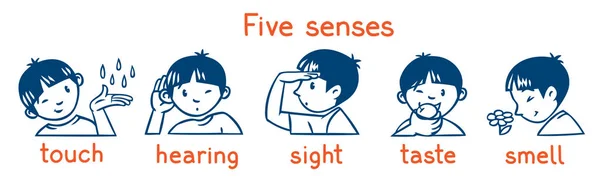 Cinco sentidos conjunto ícone monocromático. Meninos ilustração — Vetor de Stock