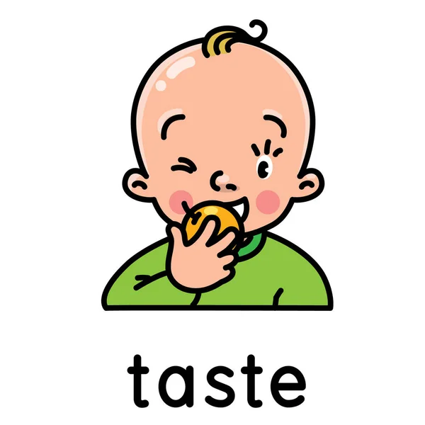 Taste. Icon of one of five senses — Stock Vector