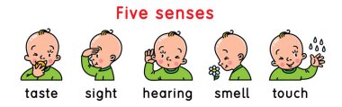 Five senses icon set. clipart