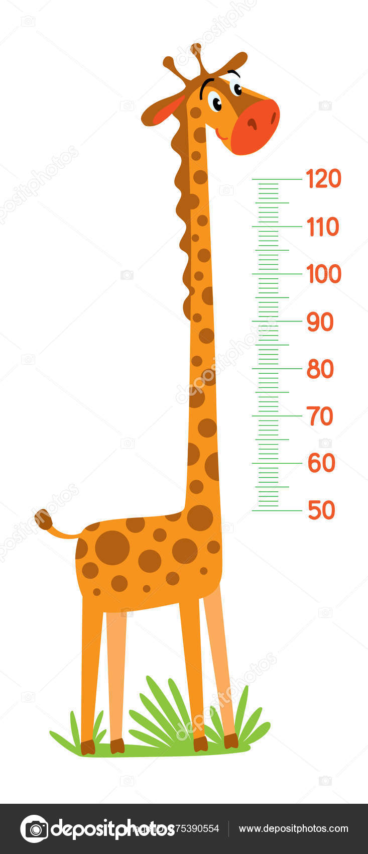 Giraffe meter wall or height chart or wall sticker Stock Vector Image