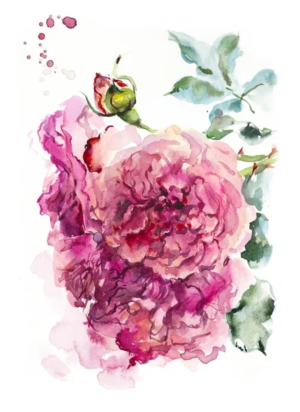 Pattern from pink rose. Wedding drawings. Watercolor painting. Greeting cards. Rose background, watercolor composition. Flower backdrop.