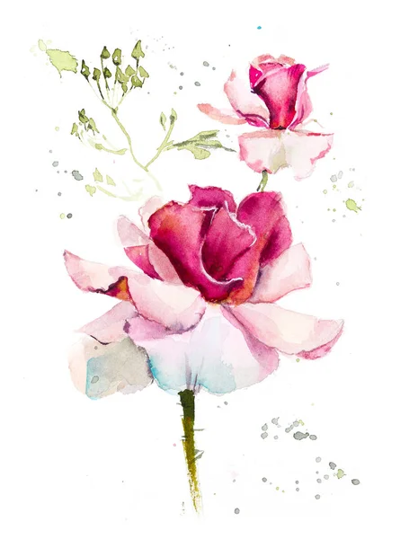 Pattern from pink rose. Wedding drawings. Watercolor painting. Greeting cards. Rose background, watercolor composition. Flower backdrop.