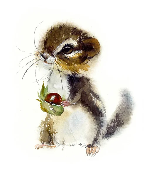 Esquilos. Ilustração desenhada à mão aquarela . — Fotografia de Stock