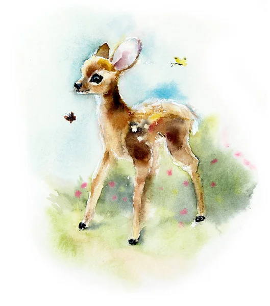 Geyik yavrusu. Suluboya el çizimi çizimi.
