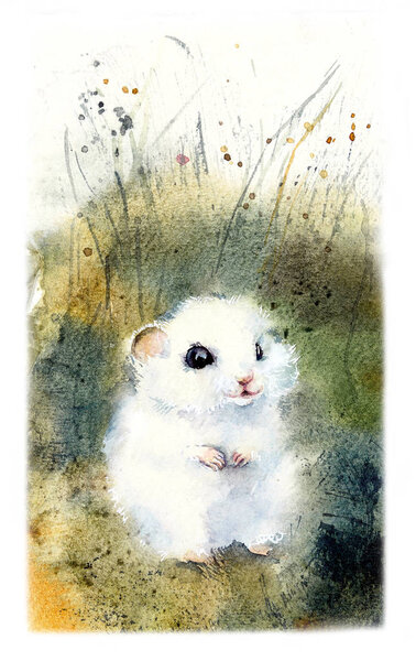 White hamster. Watercolor hand drawn illustration.