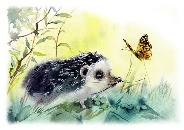 Hedgehog. Ilustração desenhada à mão aquarela . — Fotografia de Stock