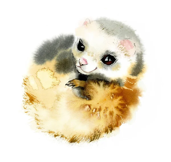 Polecat. Aquarel hand getekend illustratie — Stockfoto