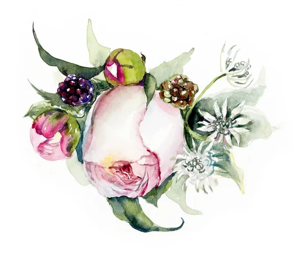 Pattern from pink rose and blackberry. Wedding drawings. Watercolor painting. Greeting cards. — Stock Photo, Image