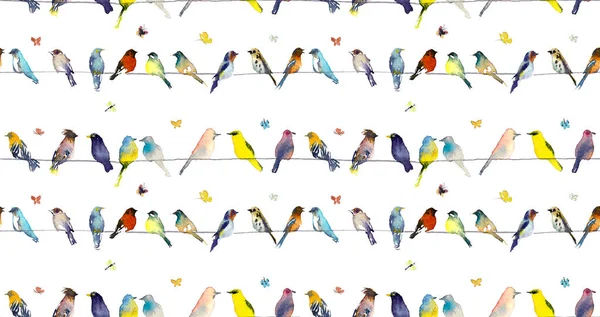 Vogels en vlinders. Aquarel hand zonsopgang illustratie — Stockfoto