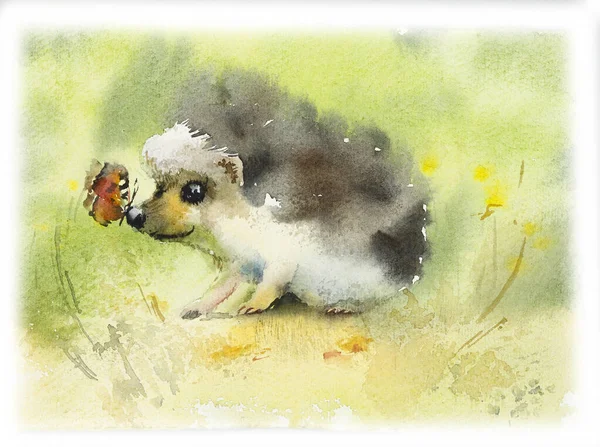 Hedgehog. Ilustração desenhada à mão aquarela . — Fotografia de Stock