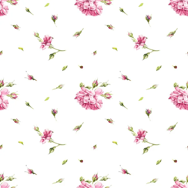 Rosas Sin Costuras Rosebush Patrón Rosa Rosa Dibujos Fondo Blanco — Foto de Stock